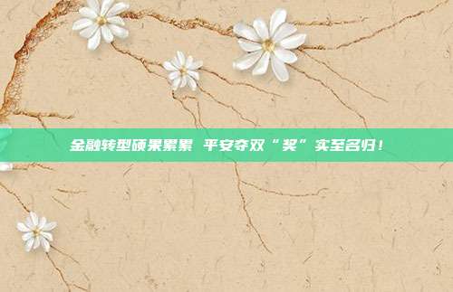 金融转型硕果累累 平安夺双“奖”实至名归！