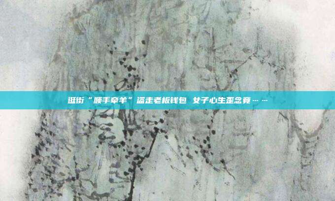 逛街“顺手牵羊”盗走老板钱包 女子心生歪念竟……