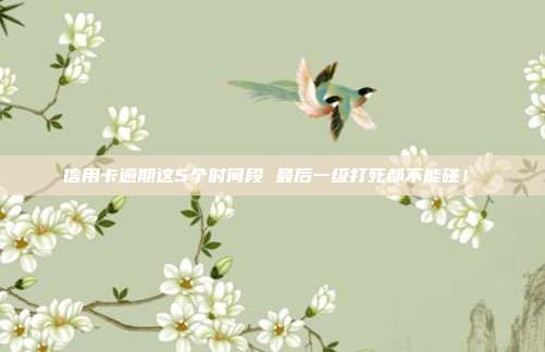 信用卡逾期这5个时间段 最后一级打死都不能碰！​