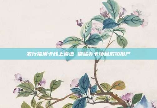 农行信用卡线上渠道 刷脸办卡项目成功投产