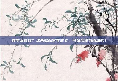 养车太花钱?这两款私家车主卡,可以帮你节省油钱!
