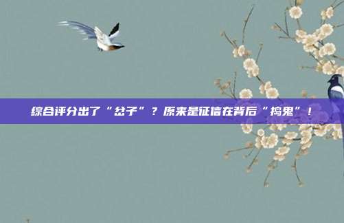 综合评分出了“岔子”？原来是征信在背后“捣鬼”！