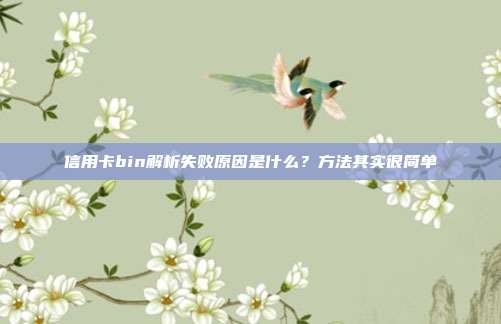 信用卡bin解析失败原因是什么?方法其实很简单