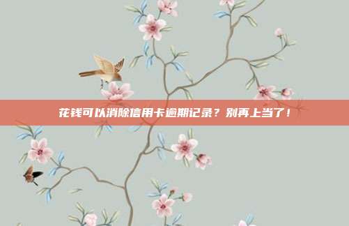 花钱可以消除信用卡逾期记录?别再上当了!