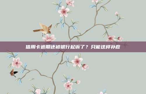 信用卡逾期还被银行起诉了?只能这样补救