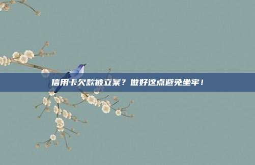 信用卡欠款被立案？做好这点避免坐牢！