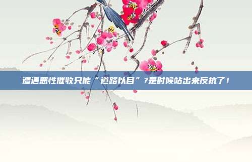 遭遇恶性催收只能“道路以目”?是时候站出来反抗了!