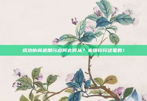 成功协商逾期污点何去何从?来细捋捋这笔数!