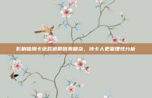 影响信用卡还款逾期因素复杂，持卡人更需理性分析