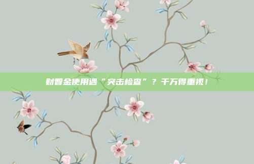 财智金使用遇“突击检查”?千万得重视!