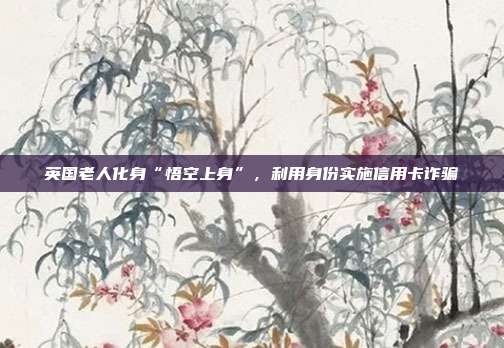 英国老人化身“悟空上身”，利用身份实施信用卡诈骗