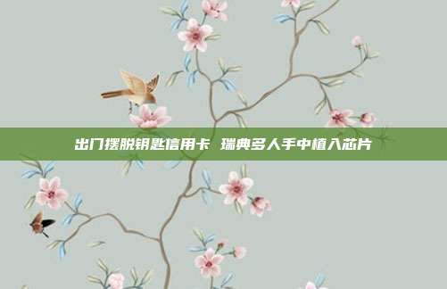 出门摆脱钥匙信用卡 瑞典多人手中植入芯片