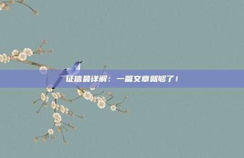 征信最详解：一篇文章就够了！