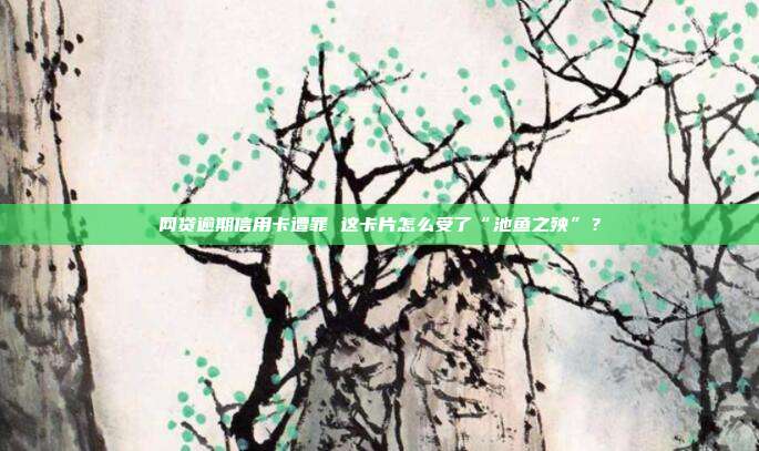 网贷逾期信用卡遭罪 这卡片怎么受了“池鱼之殃”？