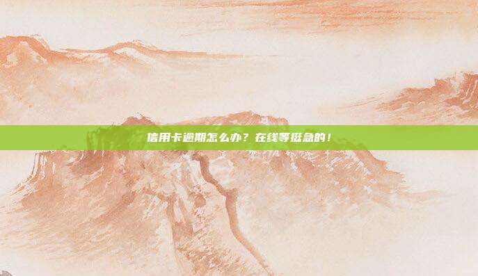 信用卡逾期怎么办？在线等挺急的！