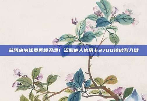 前阿森纳球员再爆丑闻!盗刷他人信用卡3700镑被判入狱