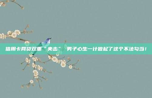 信用卡网贷双重“夹击” 男子心生一计做起了这个不法勾当!