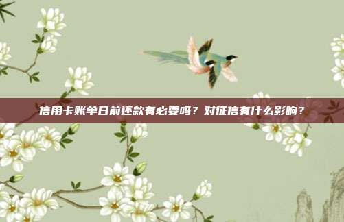 信用卡账单日前还款有必要吗？对征信有什么影响？