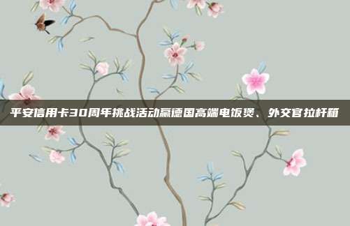 平安信用卡30周年挑战活动赢德国高端电饭煲、外交官拉杆箱