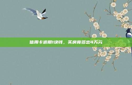 信用卡逾期1块钱，买房竟多出4万元