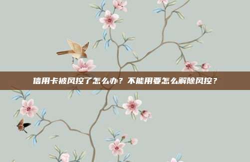 信用卡被风控了怎么办？不能用要怎么解除风控？