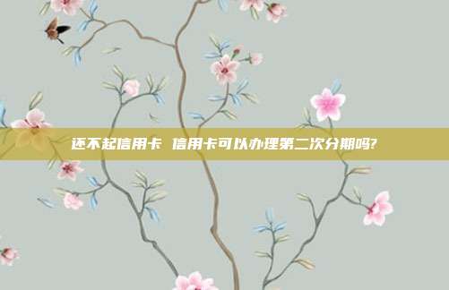还不起信用卡 信用卡可以办理第二次分期吗?