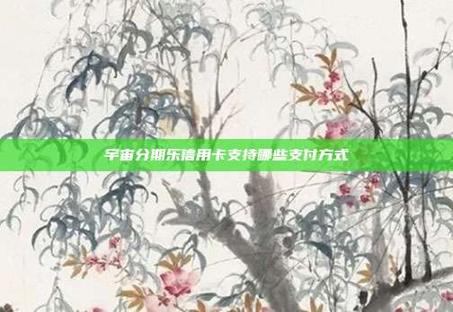 宇宙分期乐信用卡支持哪些支付方式