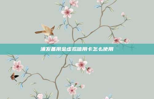 浦发备用金虚拟信用卡怎么使用