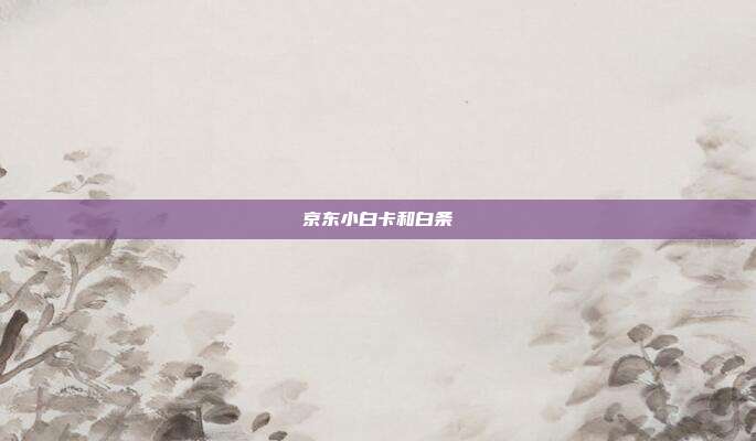 京东小白卡和白条
