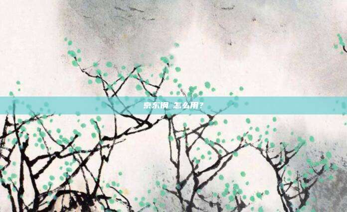 京东钢镚怎么用？