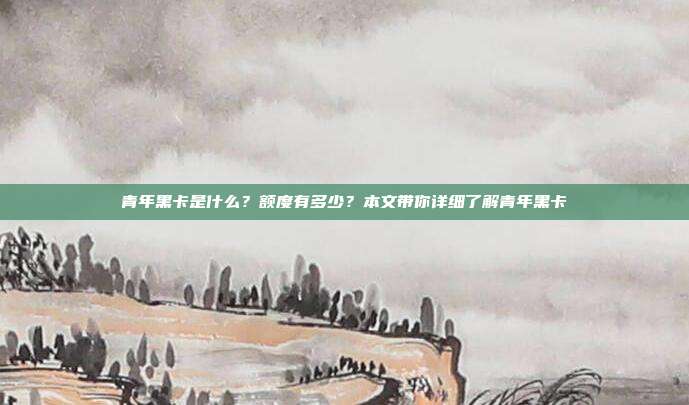 青年黑卡是什么?额度有多少?本文带你详细了解青年黑卡
