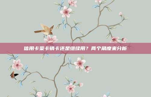 信用卡菜卡销卡还是继续用？两个角度来分析