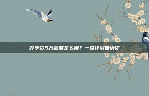 好享贷5万额度怎么用?一篇详解告诉你