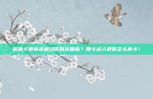 信用卡申请未通过原因有哪些？用卡达人教你怎么申卡！