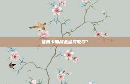 信用卡滞纳金如何收取？