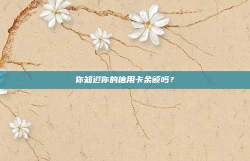 你知道你的信用卡余额吗?
