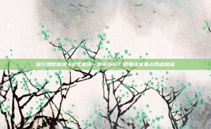 农行燃梦信用卡2张激活一张可以吗？网申注意要去网点激活