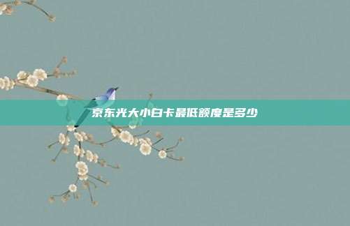 京东光大小白卡最低额度是多少