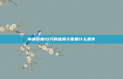 申请额度10万的信用卡需要什么条件