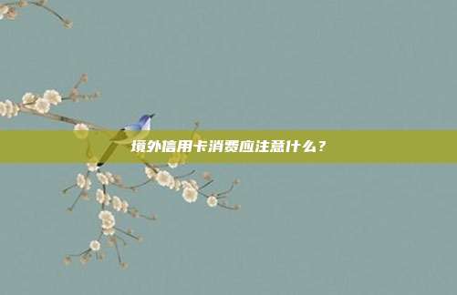 境外信用卡消费应注意什么？