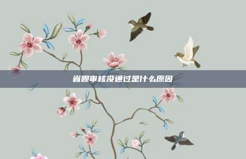 省呗审核没通过是什么原因