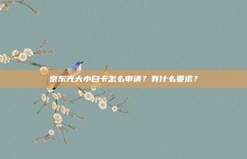 京东光大小白卡怎么申请？有什么要求？