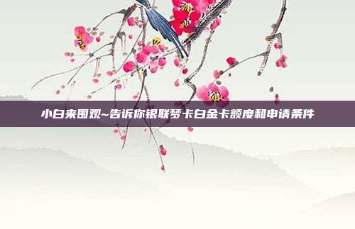 小白来围观~告诉你银联梦卡白金卡额度和申请条件