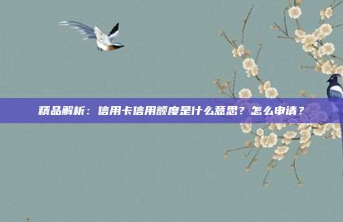 精品解析:信用卡信用额度是什么意思?怎么申请?