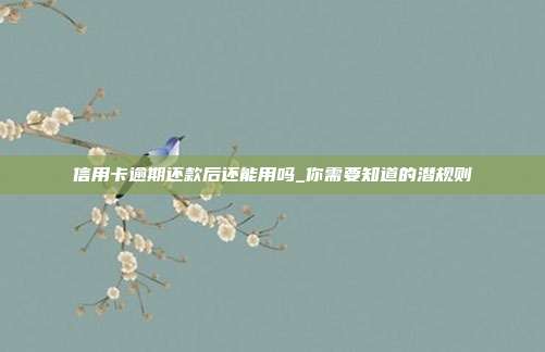 信用卡逾期还款后还能用吗_你需要知道的潜规则