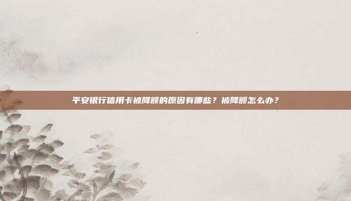 平安银行信用卡被降额的原因有哪些？被降额怎么办？
