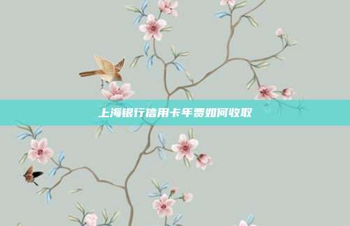 上海银行信用卡年费如何收取