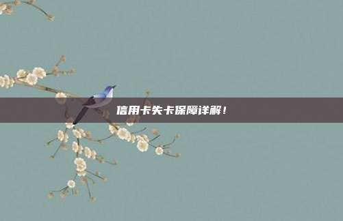 信用卡失卡保障详解!