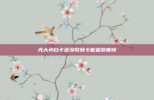 光大小白卡还没收到卡能查额度吗