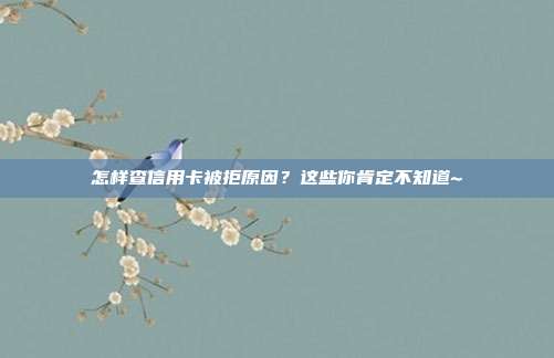 怎样查信用卡被拒原因？这些你肯定不知道~